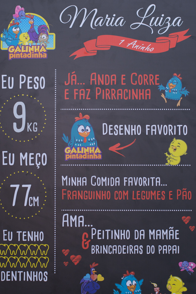 festa-infantil-rj-rio-de-janeiro-Maria Luiza-1ano-thiago-antunes-fotografo