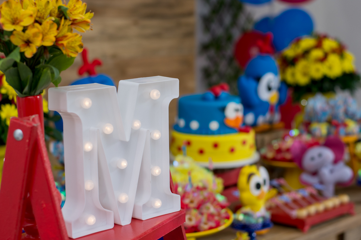 festa-infantil-rj-rio-de-janeiro-Maria Luiza-1ano-thiago-antunes-fotografo