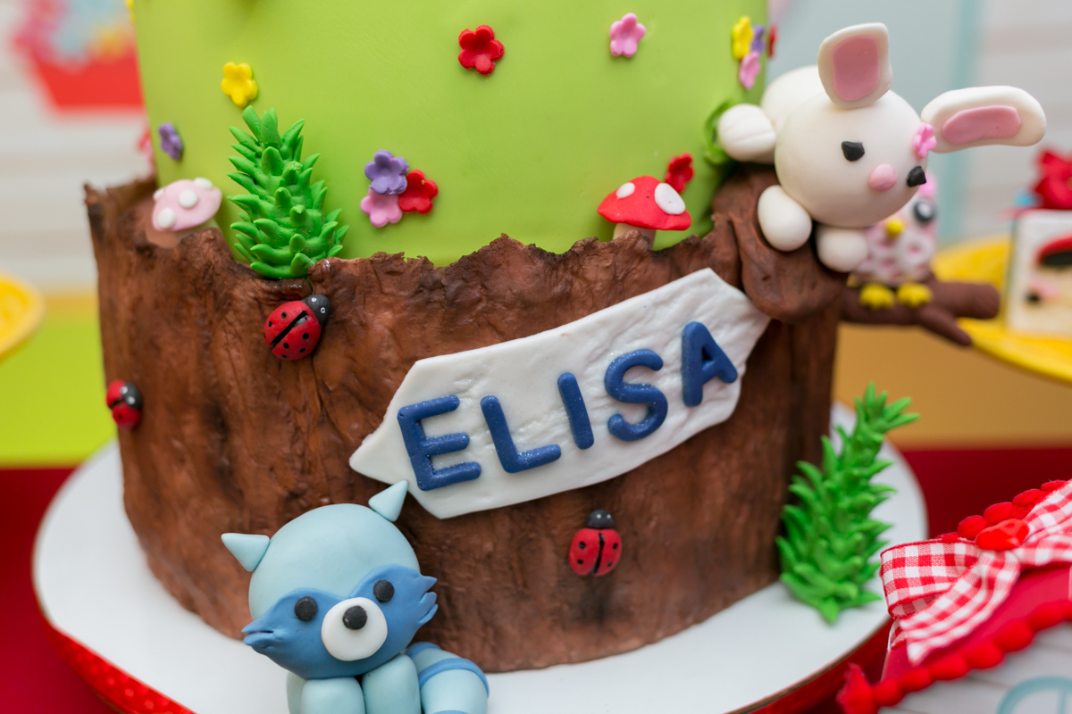 Thiago Antunes Fotografia - Elisa 1 ano