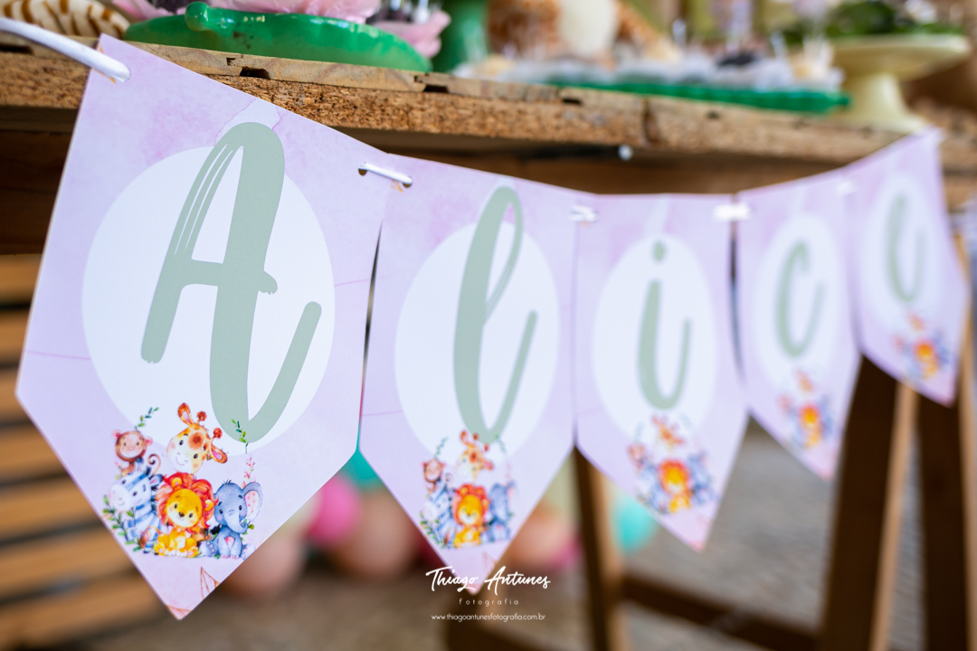 Festa da Alice de 2 anos - Lagoa Rodrigo de Freitas, Rio de Janeiro - Fotografo infantil Thiago Antunes em Rio de Janeiro