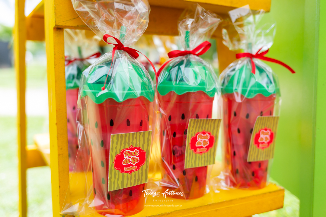 Festa da Lia de 1 ano - picnic pique nique - Lagoa Rodrigo de Freitas, Rio de Janeiro - Fotografo infantil Thiago Antunes em Rio de Janeiro