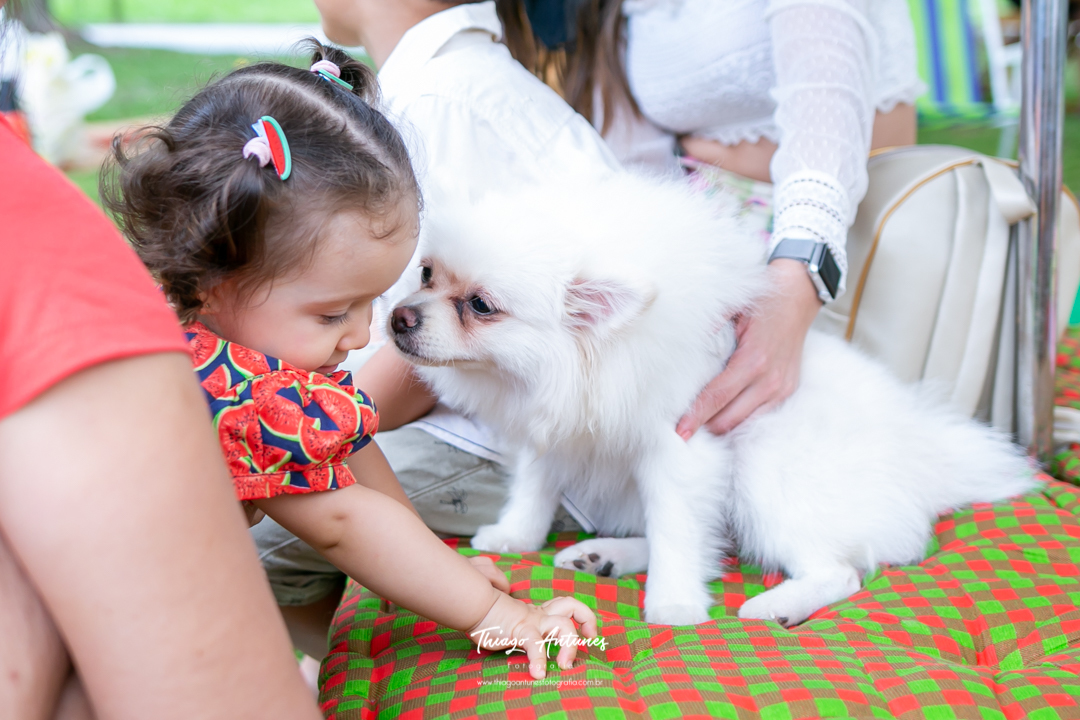 Festa da Lia de 1 ano - picnic pique nique - Lagoa Rodrigo de Freitas, Rio de Janeiro - Fotografo infantil Thiago Antunes em Rio de Janeiro