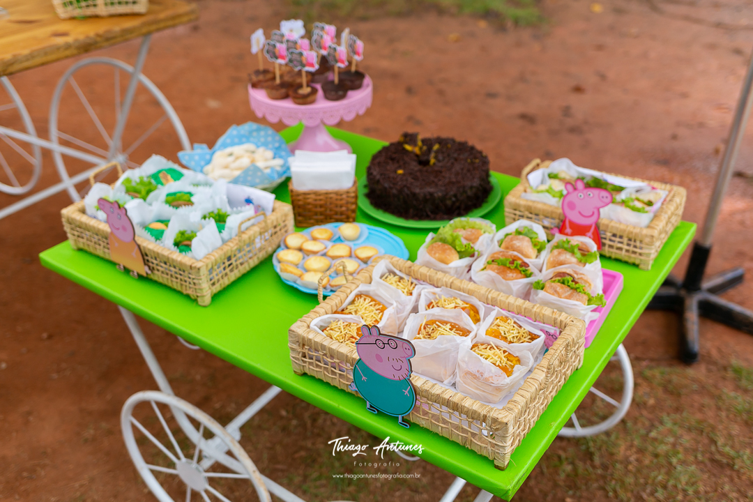 Festa da Alice de 2 ano - picnic pique nique - Lagoa Rodrigo de Freitas, Rio de Janeiro - Fotografo infantil Thiago Antunes em Rio de Janeiro