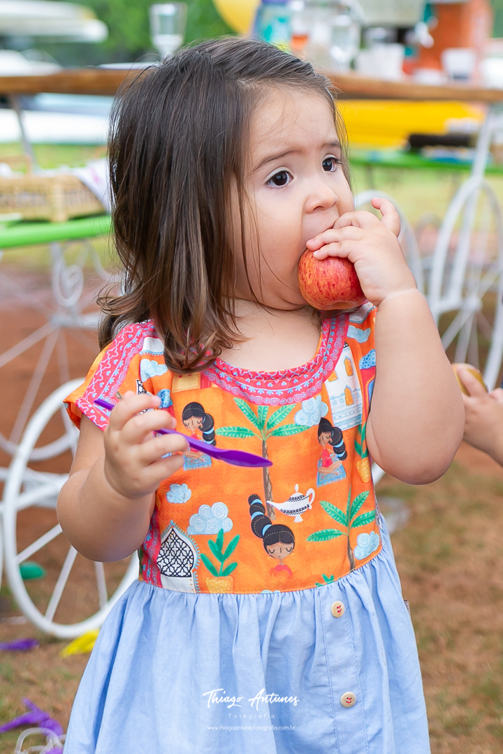 Festa da Alice de 2 ano - picnic pique nique - Lagoa Rodrigo de Freitas, Rio de Janeiro - Fotografo infantil Thiago Antunes em Rio de Janeiro