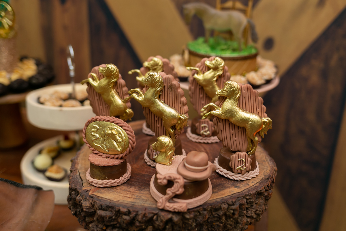 Festa infantil de dois anos do Igor Luiz - Espaço Algarve, Barra da Tijuca, Rio de Janeiro - Fotografo infantil Thiago Antunes em Rio de Janeiro