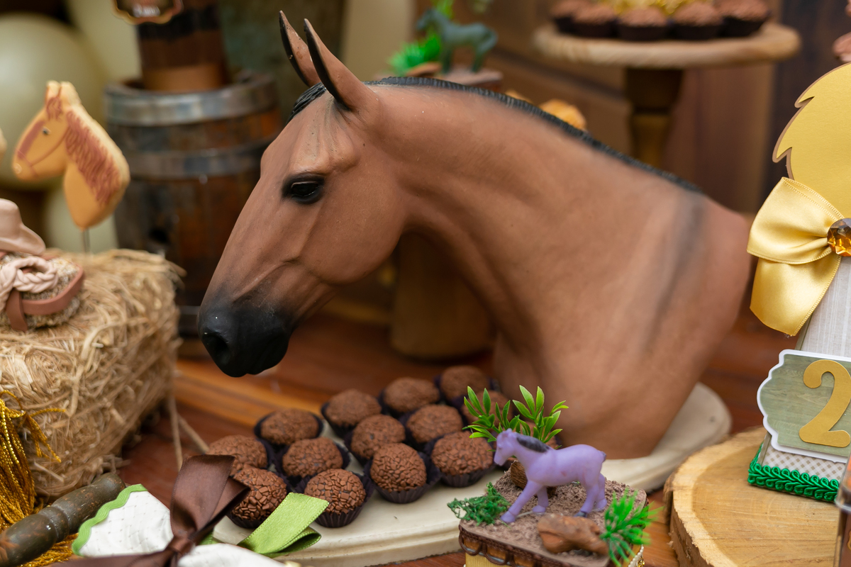 Festa infantil de dois anos do Igor Luiz - Espaço Algarve, Barra da Tijuca, Rio de Janeiro - Fotografo infantil Thiago Antunes em Rio de Janeiro