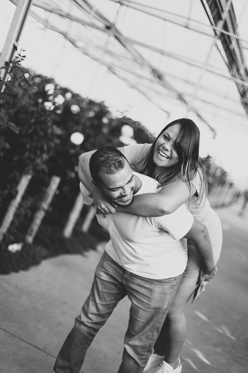 Ensaio Família
Família
Holambra
Bloemen Park
Family[
Fotos de família
Fotos em Holambra 