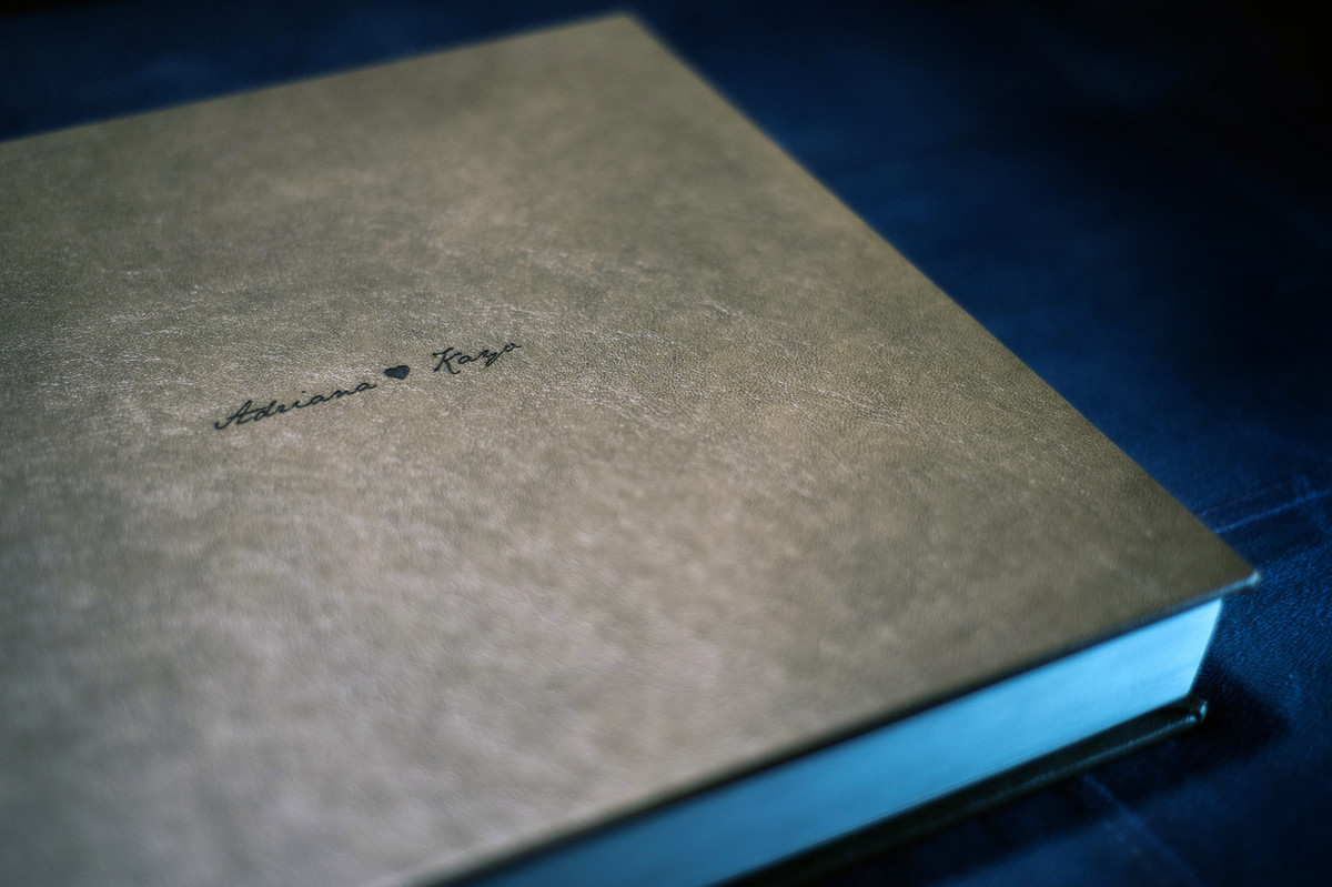 Linha tradicional couro legítimo