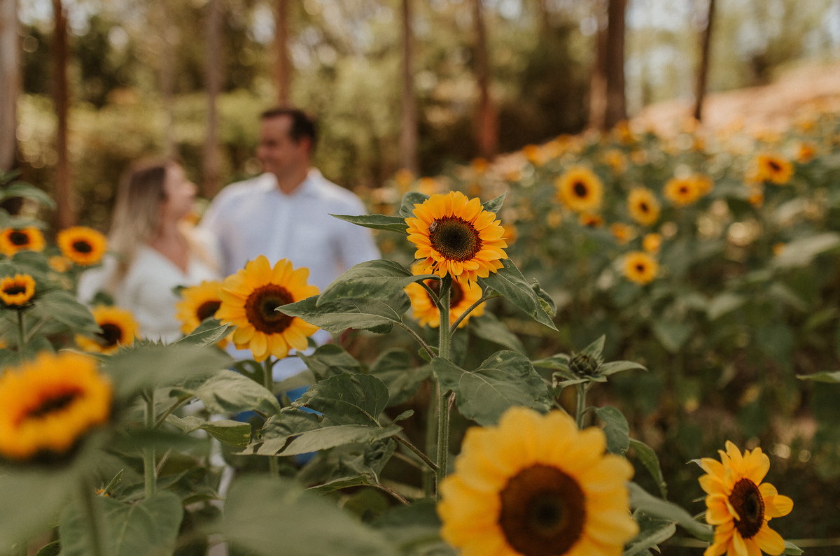 fotografo de casamento rj do vale dos sonhos e vale jardins ensaio pré casamento rj no jardim ecológico uaná etê