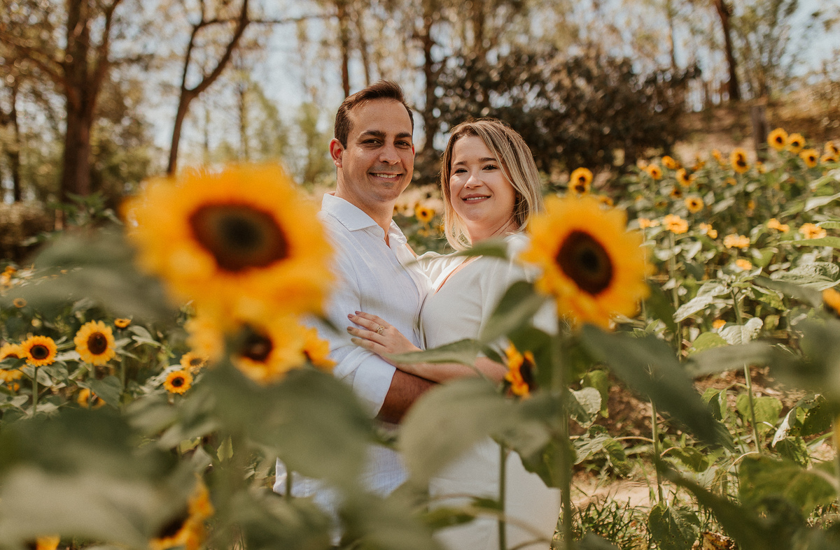 campos de girassois do jardim ecológico Uaná Etê ensaio casal e pré casamento fotografado por andré nogueira fotografia vale jardins rj
