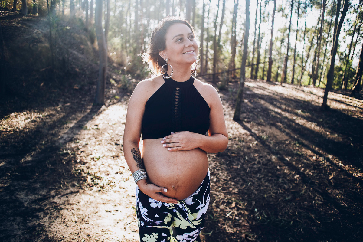 árvores de eucalipto gestante lindo por do sol