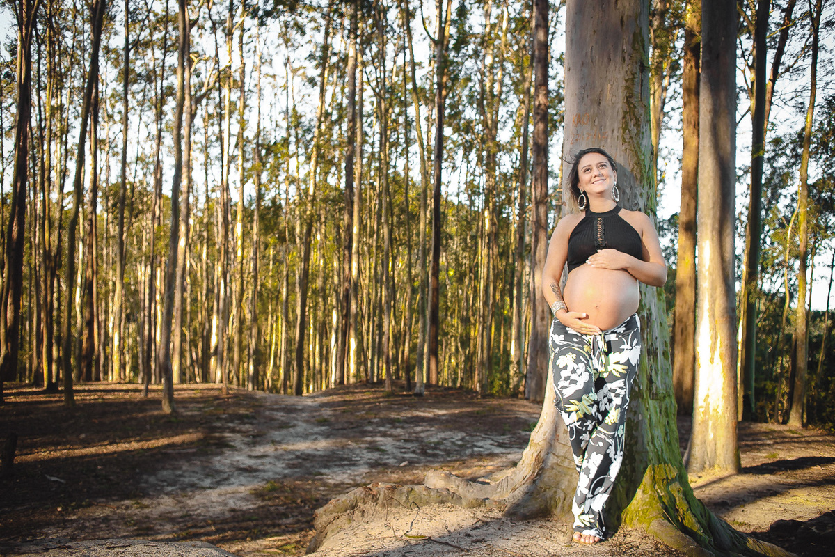 gestante parque da cidade niteroi arvore de eucalipto fotografia de gestante