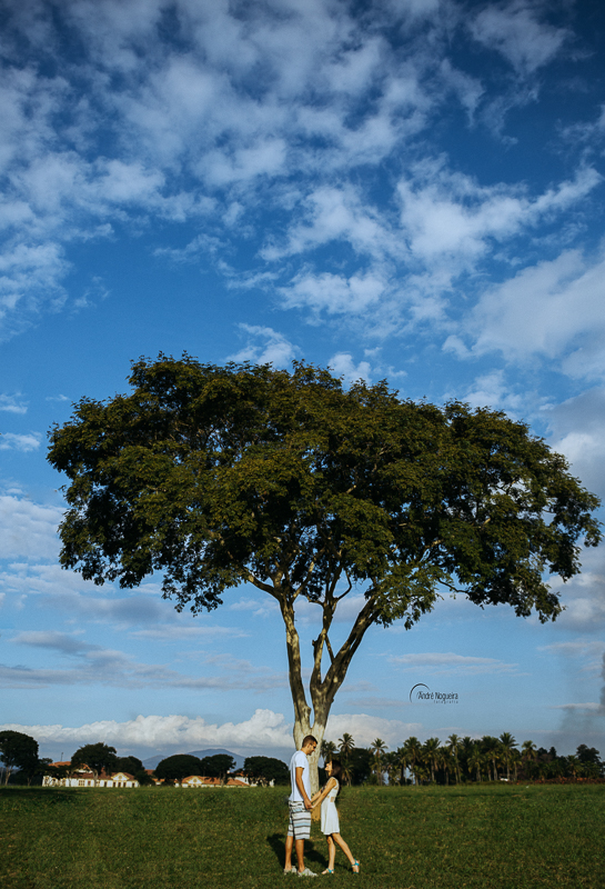 namorando em baixo de uma linda arvore charmosa