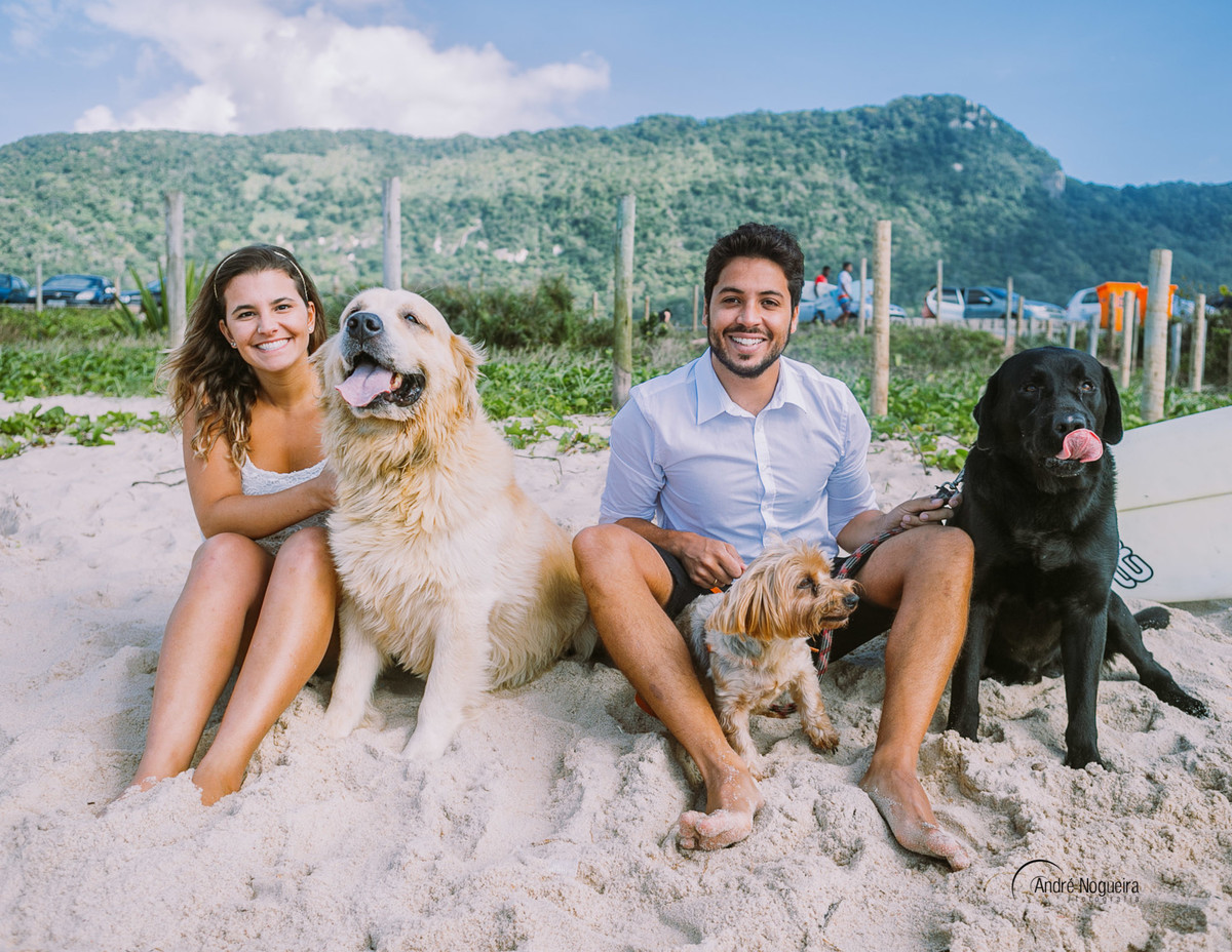 sentados na areia juntos com os seus filhos caninos