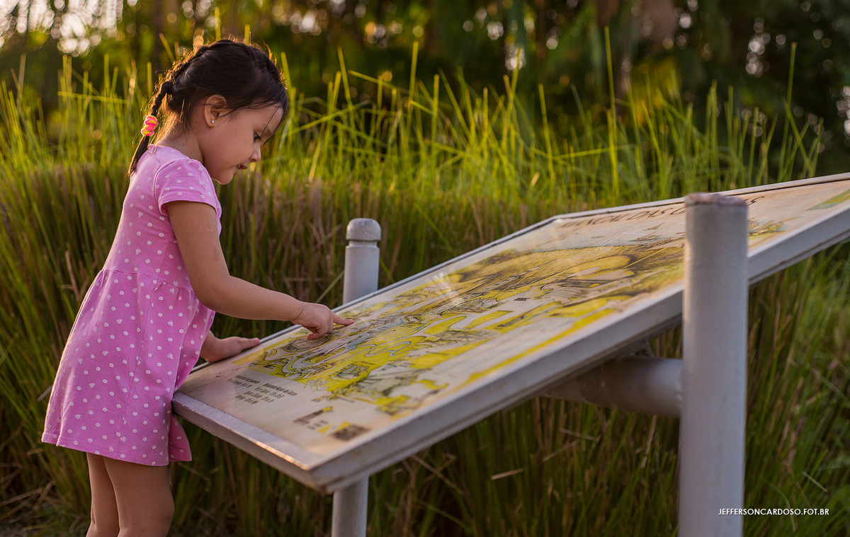 procurando no mapa do mangal em belém pa
