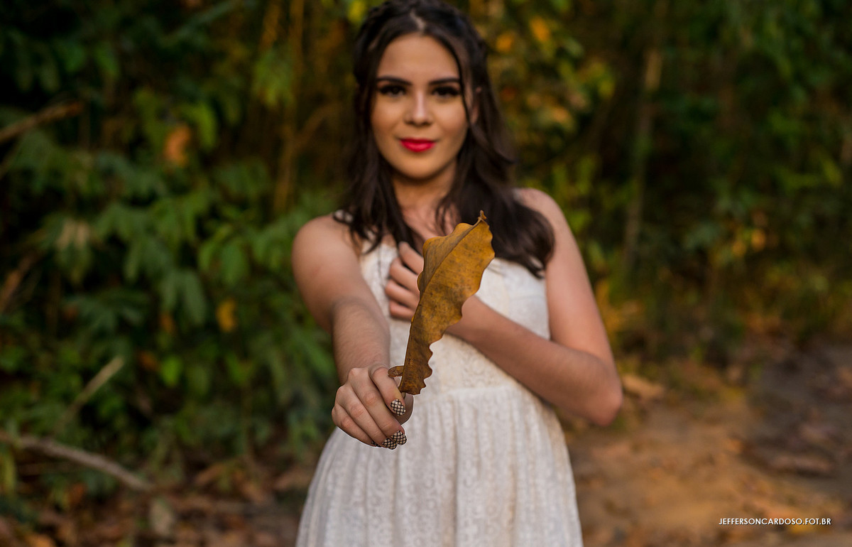 book de 15 anos na estrada