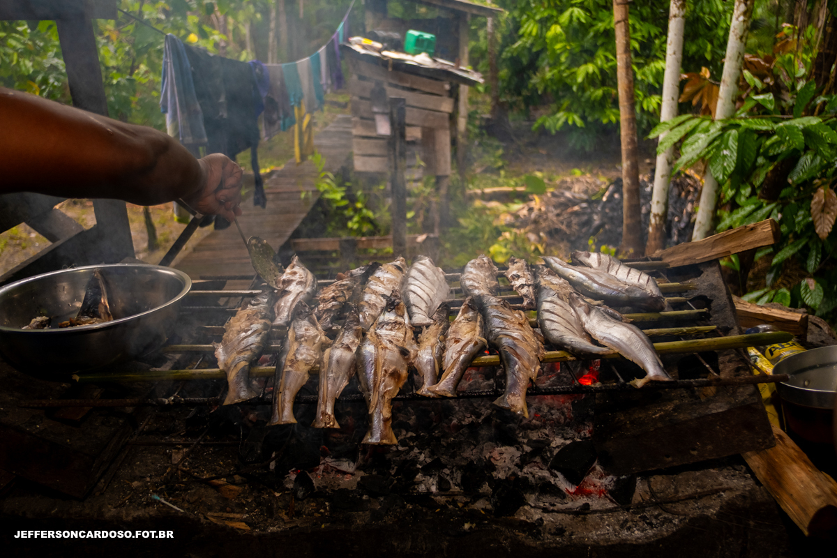 pesca do mapará na região de cametá pa - culinária da nossa cidade, fotos da cidade do baixo tocantins 