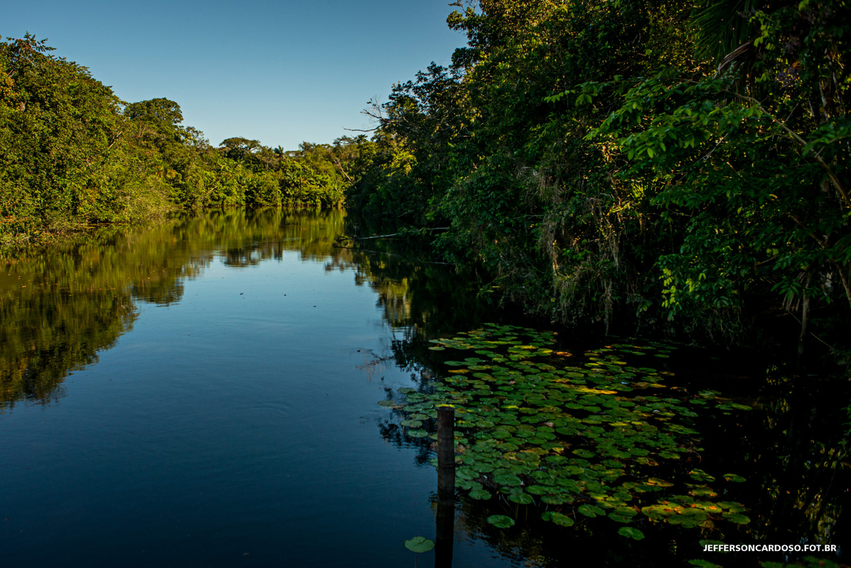 Rio Cupijó, Pará, ensaio família e infantil do João Neto na chácara do João Paulinho em Cametá fotos de 1 ano com o fotogrado de criança Jefferson Cardoso Fotografia, Alegria felicidade paraíso igarapé brincadeira carro estrada