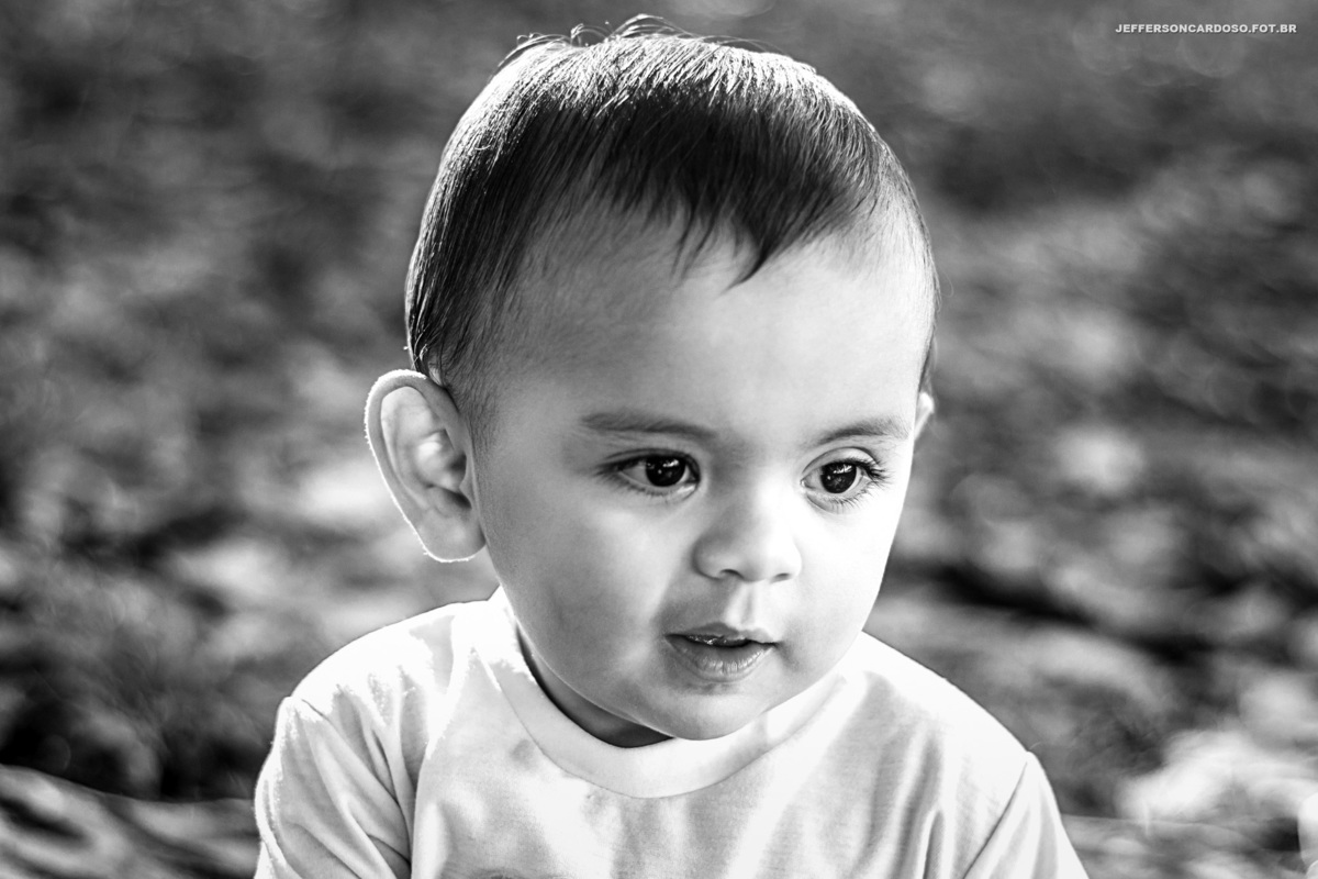 Ensaio família do Gael na cidade modelo do estado do Pará Castanhal, no quinta do bosque como decoração de Safári da veterinária Aline e Arthur com o fotógrafo de criança Jefferson Cardoso da cidade de Belém e Cametá contando história muito amor e alegria