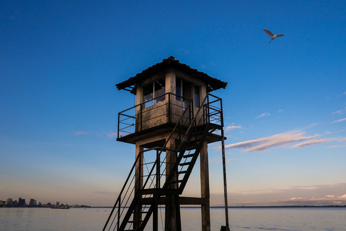 Os governadores do Pará, @helderbarbalho, e de Roraima, @antoniodenariumrr, apresentaram as ações

O Fórum Regional Norte Export 2021 será realizado nos dias 19 e 20 de julho e transmitido 100% online, diretamente de Belém/PA, via plataforma Zoom. 