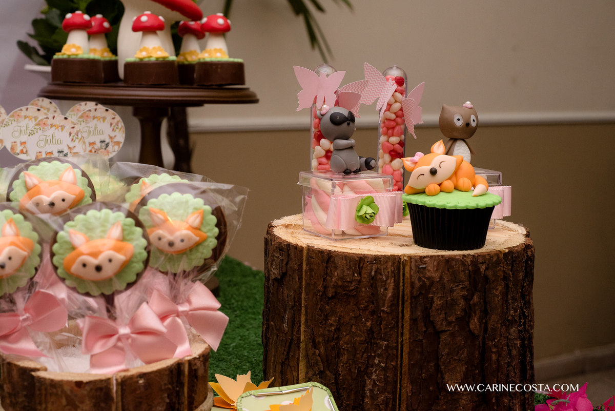 aniversário infantil