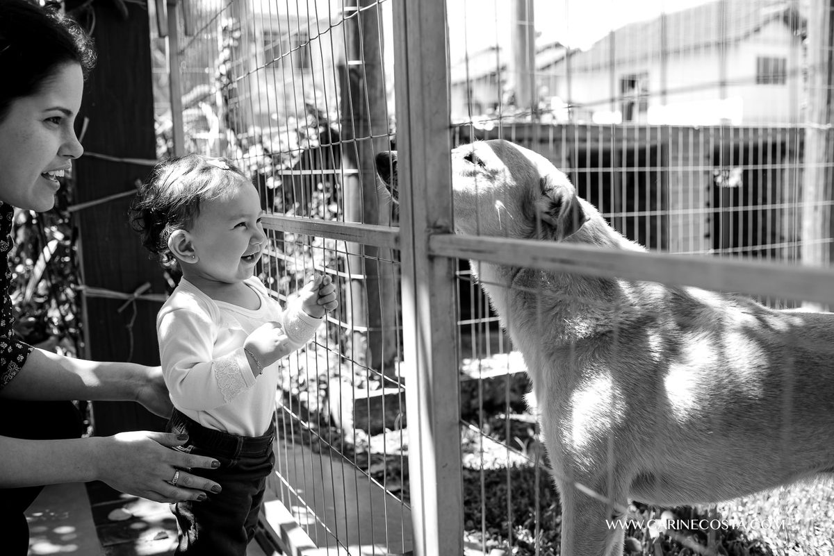 aniversário infantil