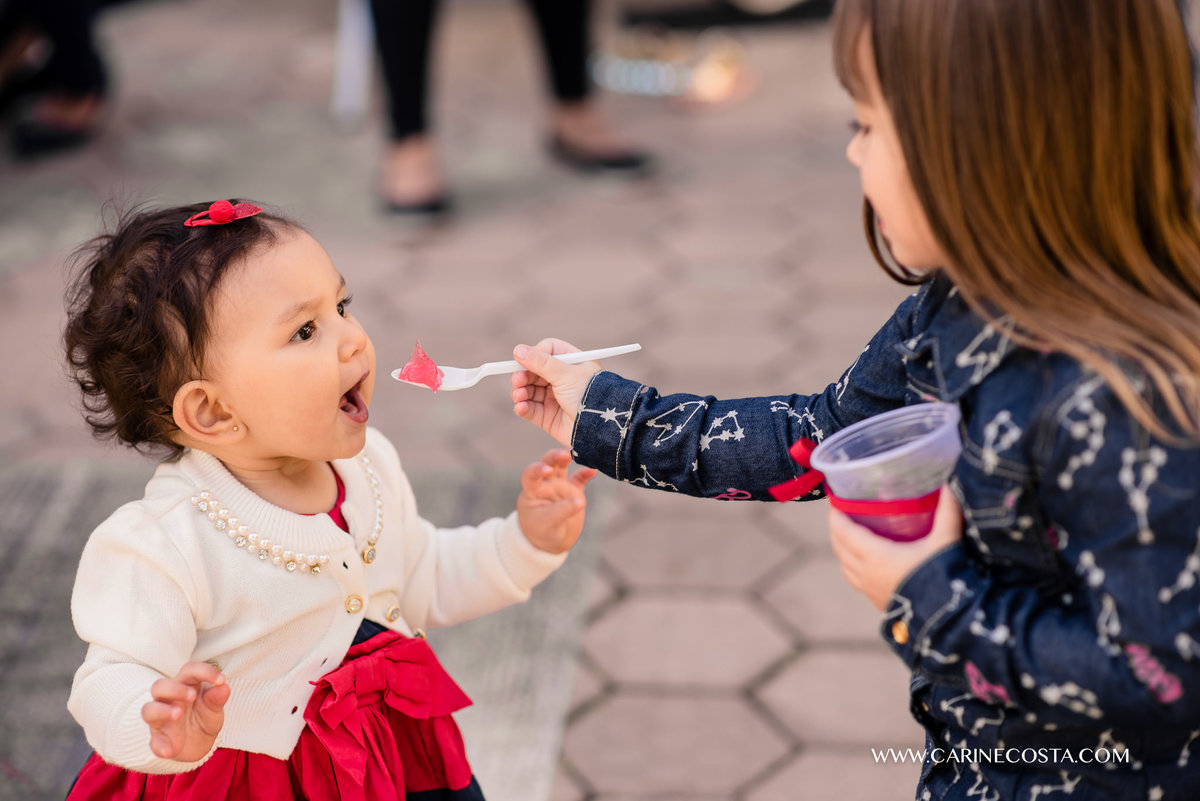 aniversário infantil