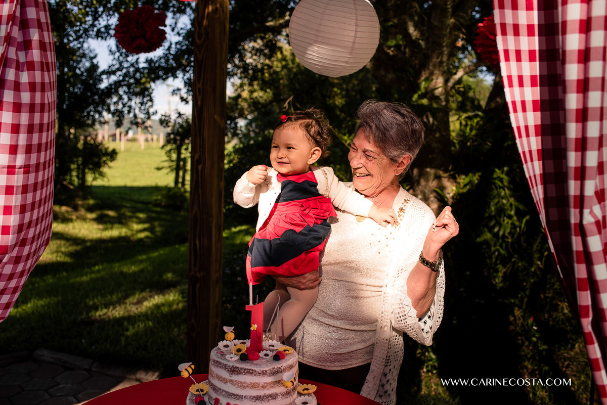 aniversário infantil