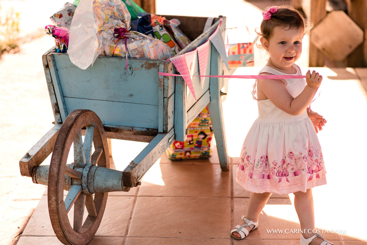 aniversário infantil