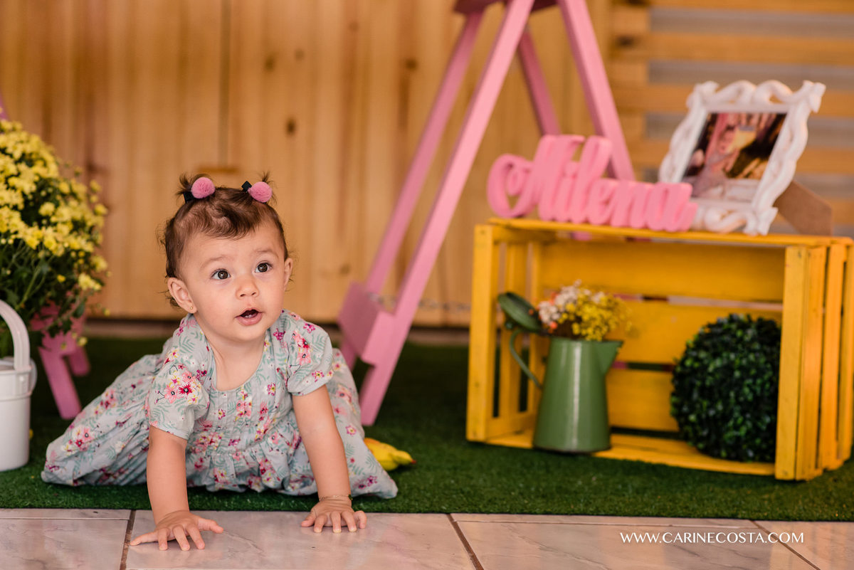 aniversário infantil