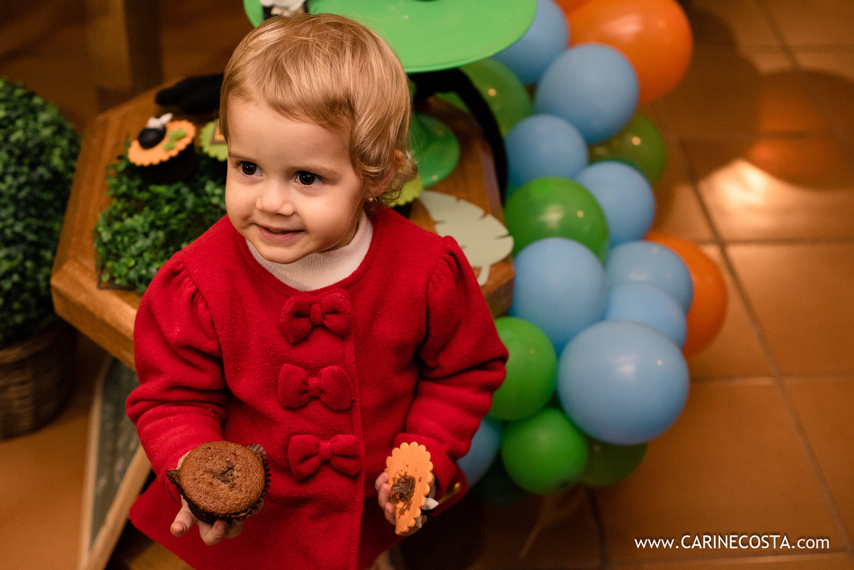 aniversário infantil