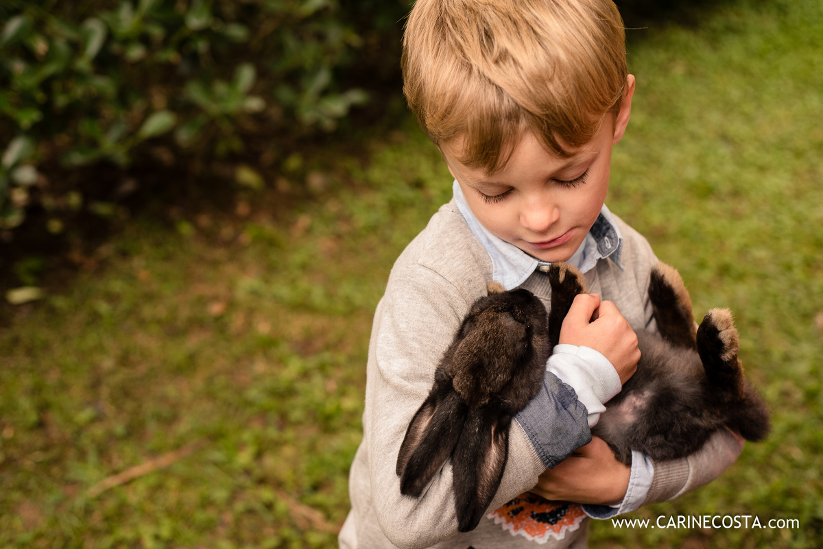 aniversário infantil