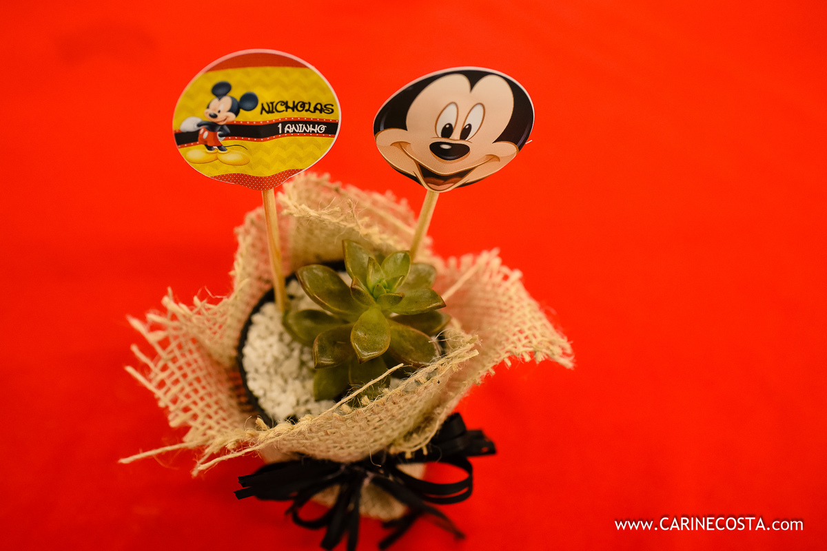 aniversário infantil