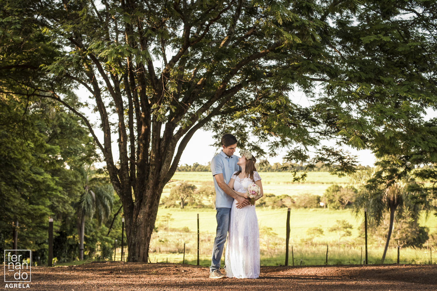 casal-noiva-casamento-arvore-final-de-tarde-foto-fernando-agrela-
