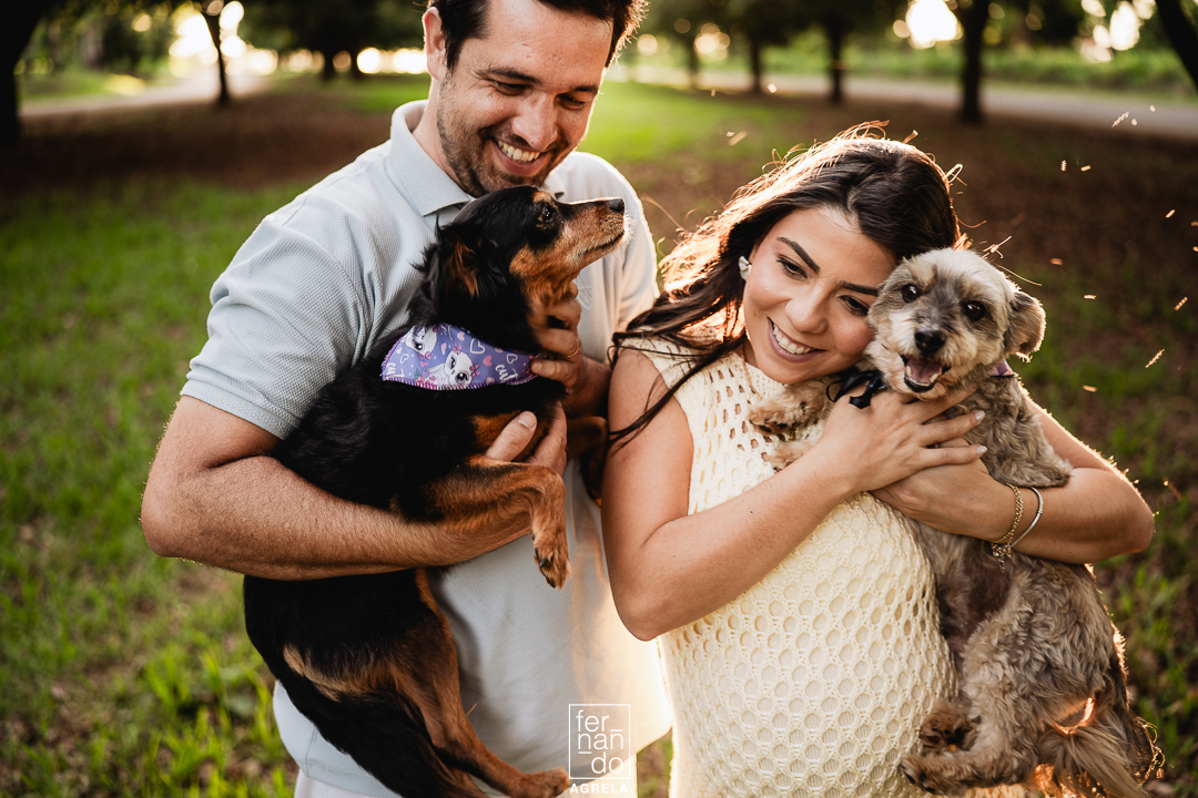casal junto com os pets em foto descontraida em ensaio gestante