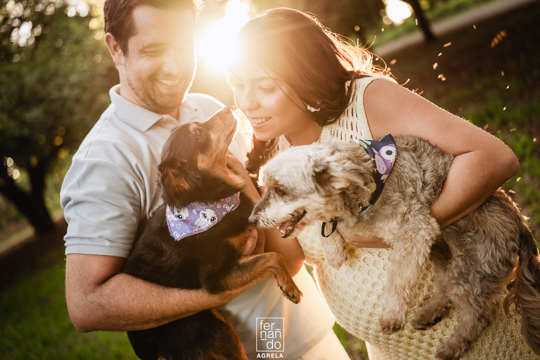 casal junto com os pets em foto descontraida em ensaio gestante