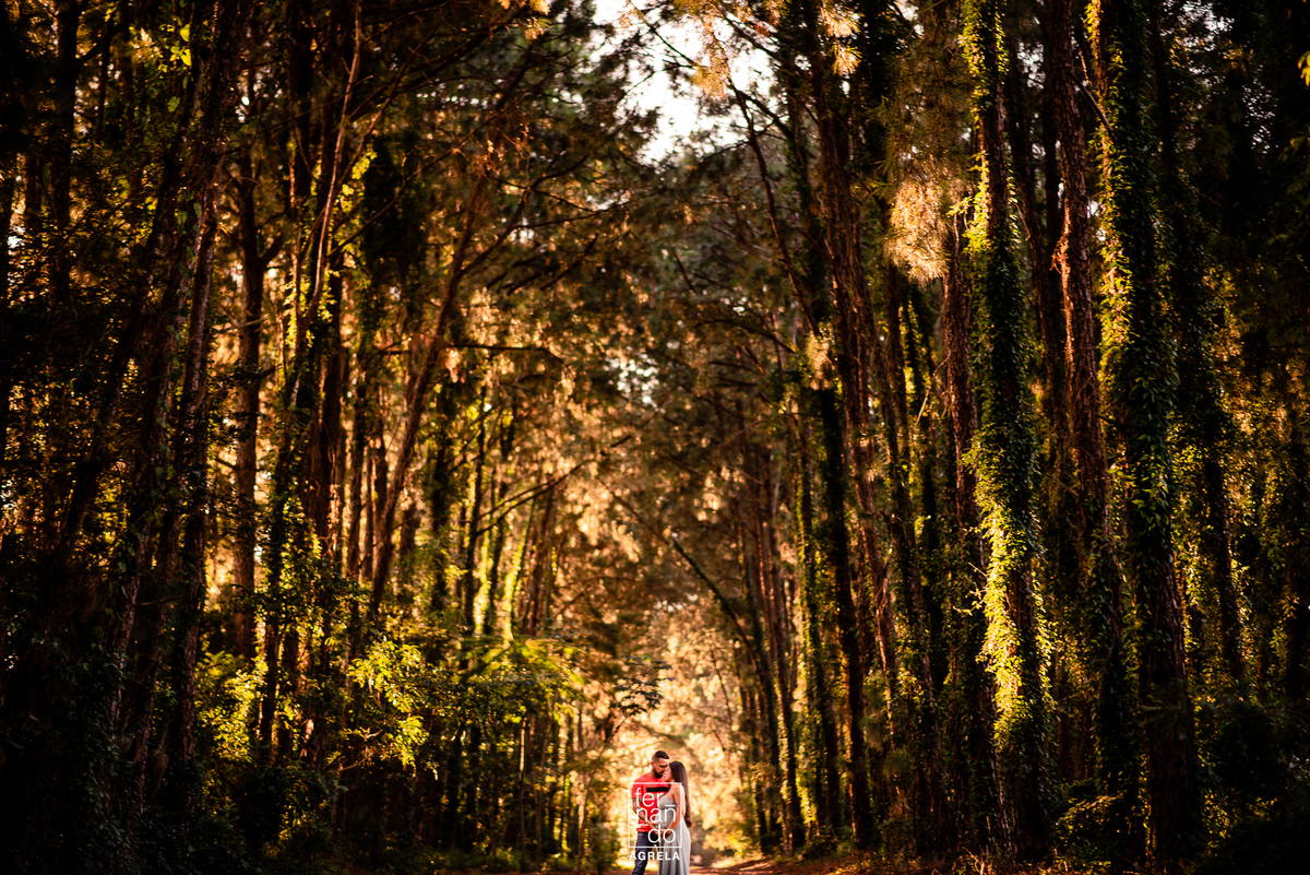 ensaio gestante no morro do gavião em ribeirão claro pr