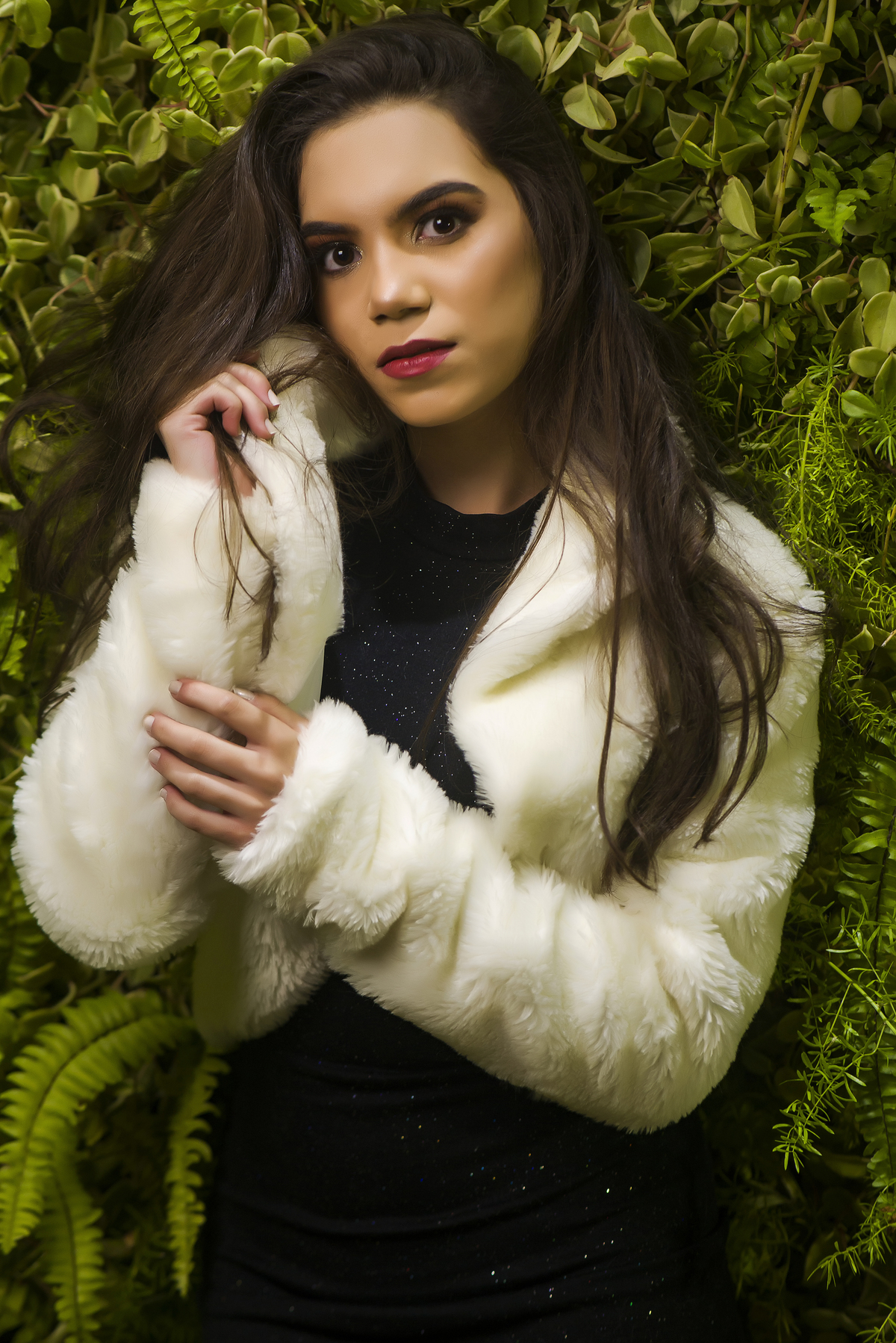 fotos noturnas holambra