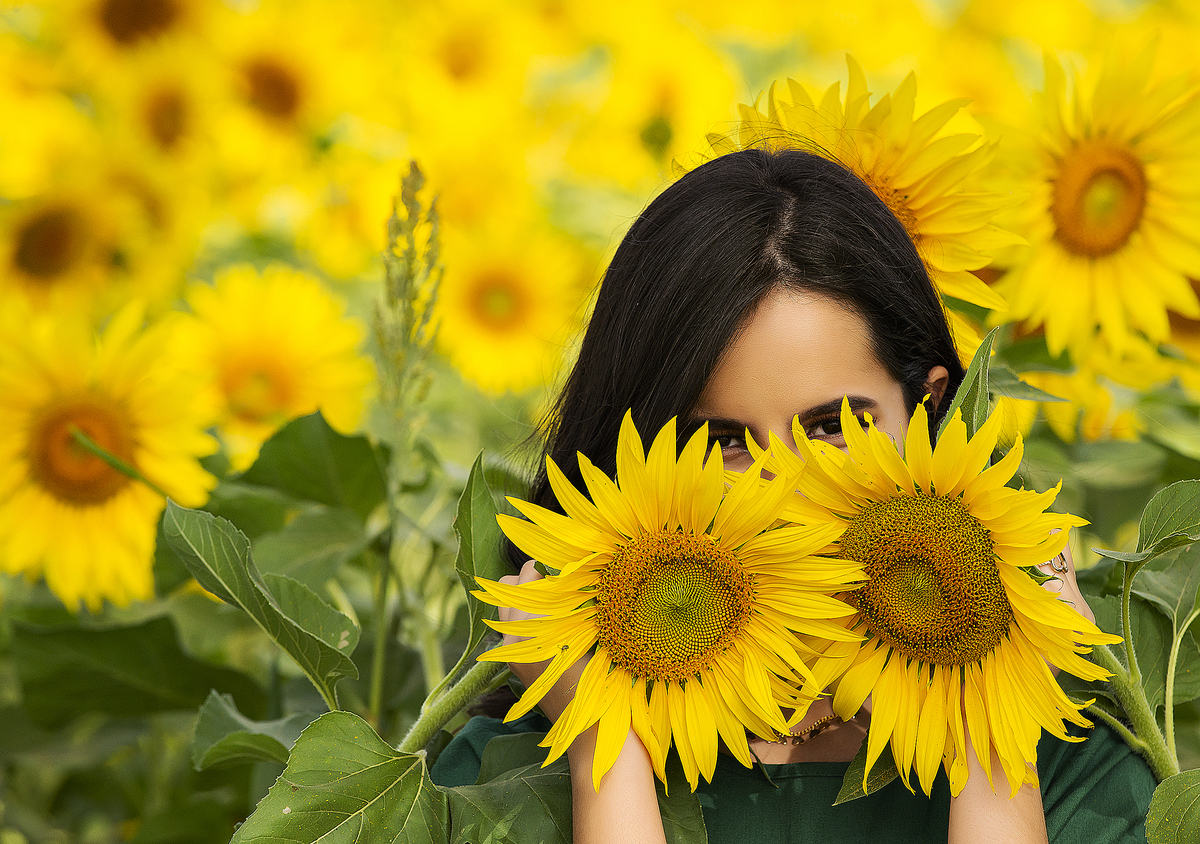 alta genetica uberaba