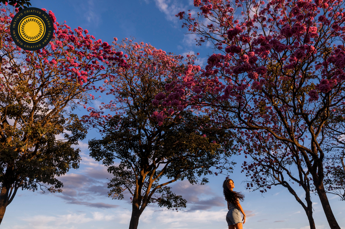 Ensaio de debutante em Uberaba - Fotos premiadas de 15 anos