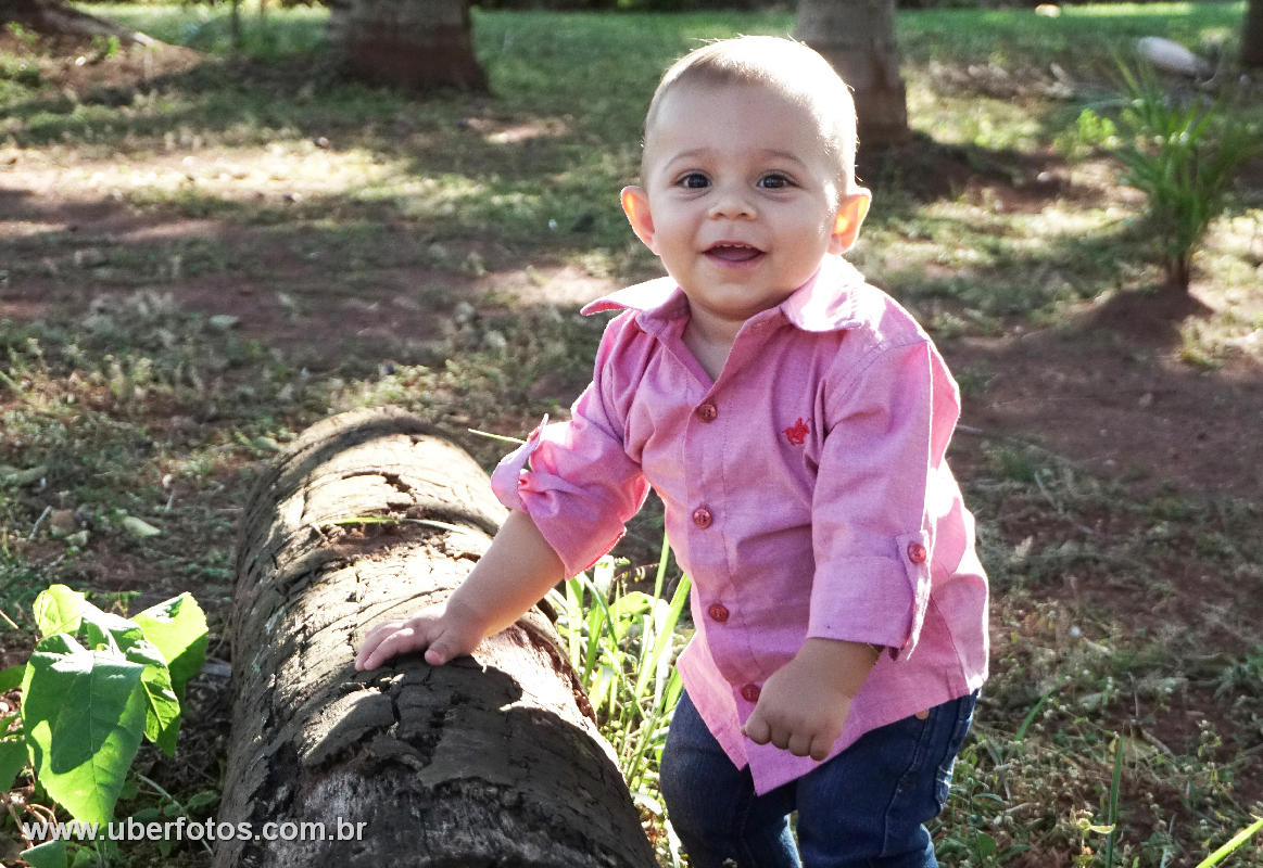 Fotos para aniversário infantil
