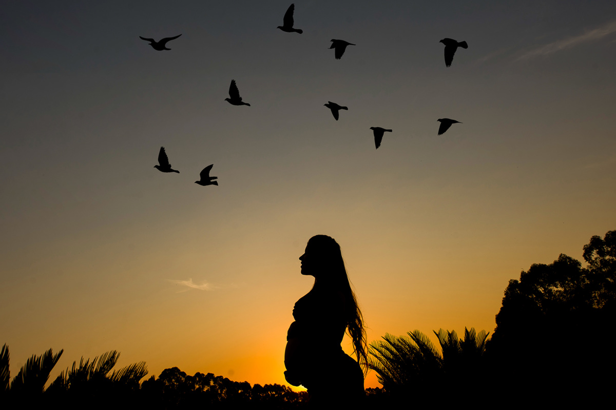 Em busca do Galope, Fotos Tumblr, Silhueta, fotos de gravidez, 