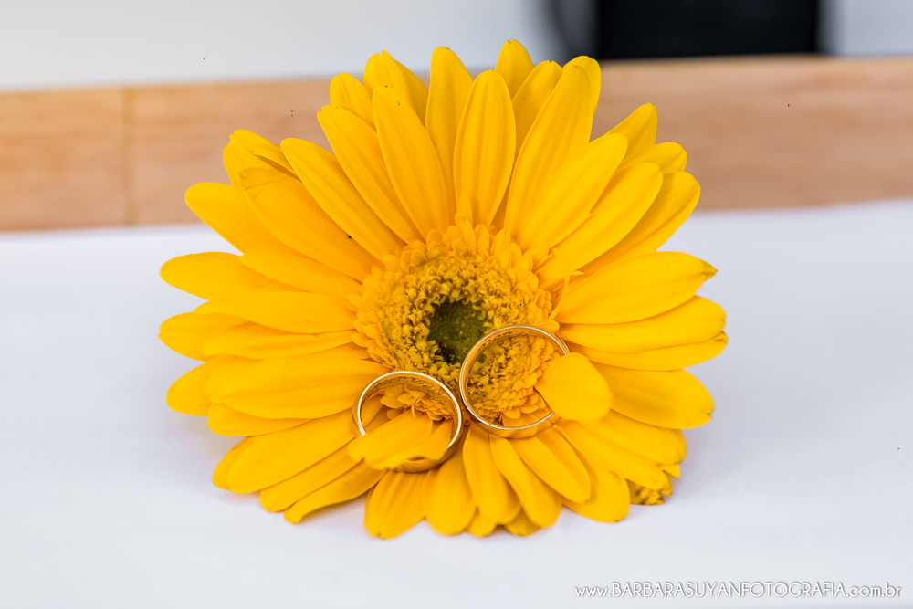 BARBARA SUYAN FOTOGRAFIA, FLORES, CASAMENTO NOVA LIMA, CONFRARIA DO HONORIO, FOTOGRAFA BH, FOTOGRAFO BH, FOTOGRAFIA BH, FOTOGRAFIA CASAMENTO BH, WEDDING, CERIMONIA MESSIANICA, VESTIDO NOIVA ALGODAO