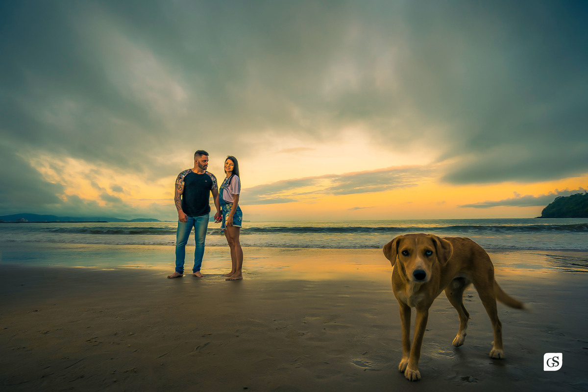 ensaio fotográfico de noivos na praia com  cachorro pet de Itajai SC