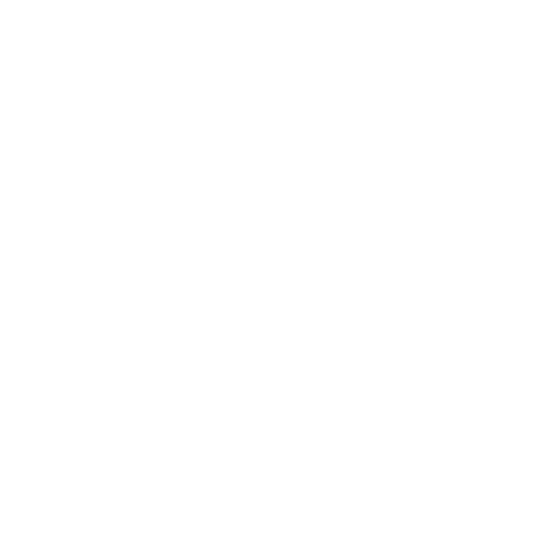 Logotipo de Bruna Siebert