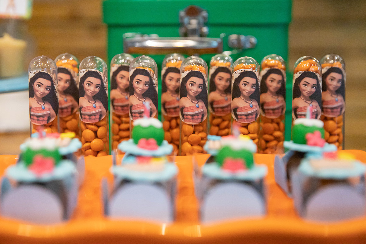 Decoração da Festa de aniversário de 5 anos da Malu no Animasom