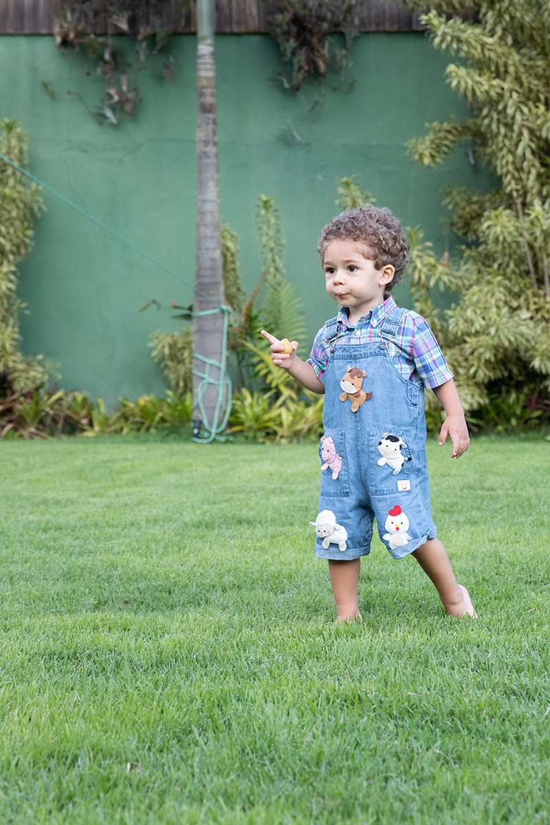Festa de 2 anos Vitor: Vitor brincando no Sítio Recanto dos Sonhos, RJ.