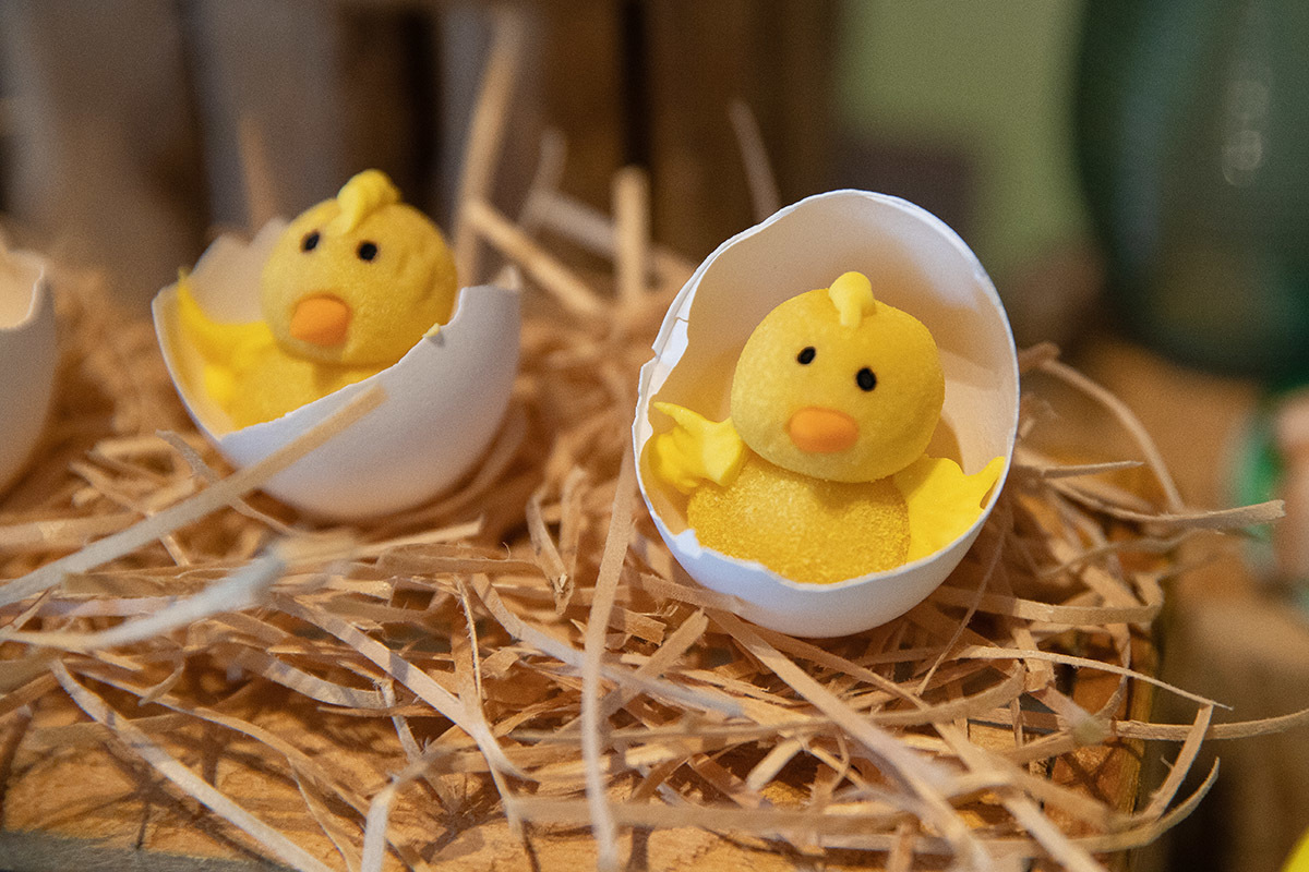 Decoração da festa de 2 anos do Vitor, tema fazendinha no Sítio Recanto dos Sonhos.