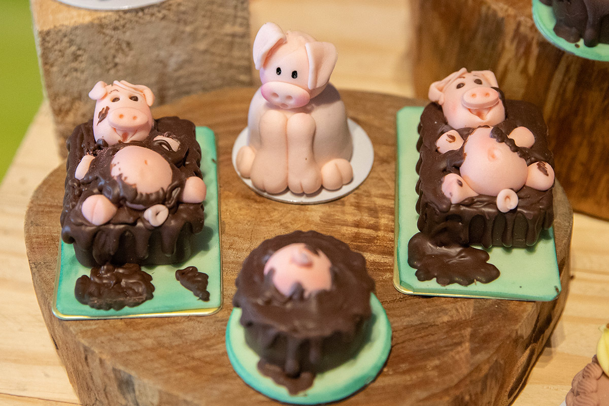 Decoração da festa de 2 anos do Vitor, tema fazendinha no Sítio Recanto dos Sonhos.