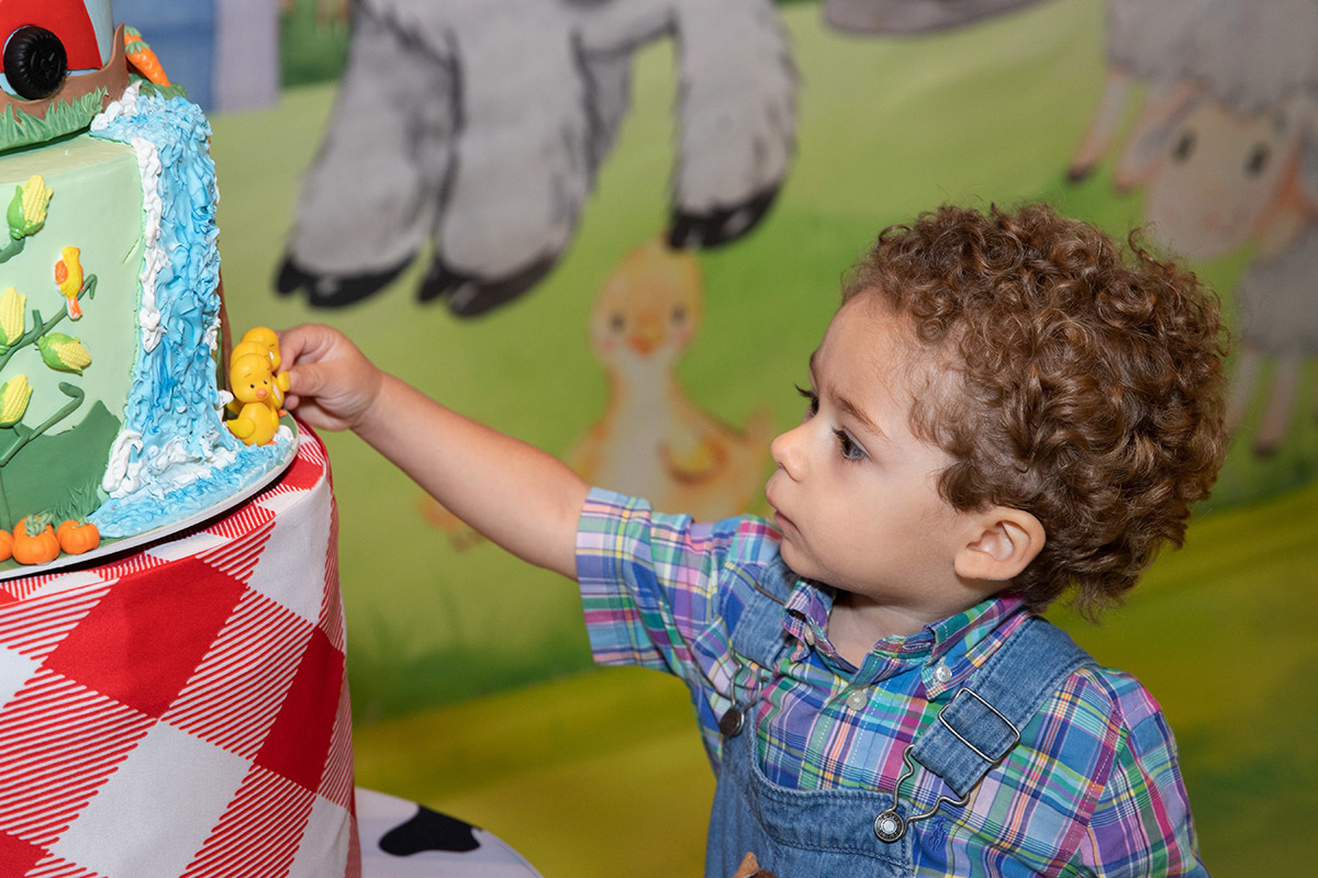 Festa de 2 anos Vitor: Vitor com o bolo no Sítio Recanto dos Sonhos, RJ.